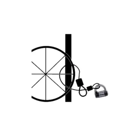 SL 8.18 Looped Spiral Cable image {1}