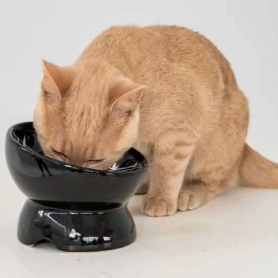Dexypaws: Elevated Ceramic Cat Bowl, Black, 7oz, Pet Feeding Dish image {1}