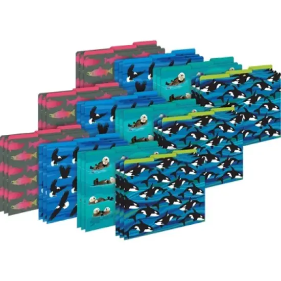 Barker Creek Sea and Sky 14pt Letter-Size File Folders Multi-Design Set 36 per Set: Top Tab, Non-Pronged, 50 Sheet Capacity image {3}