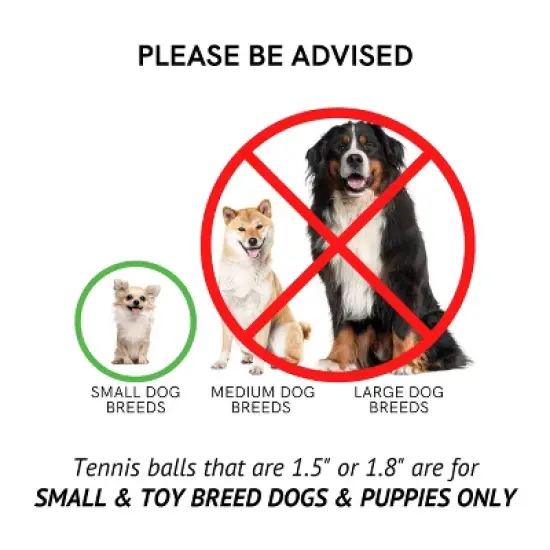 Midlee Blue Happy Birthday Dog Tennis Balls image {7}