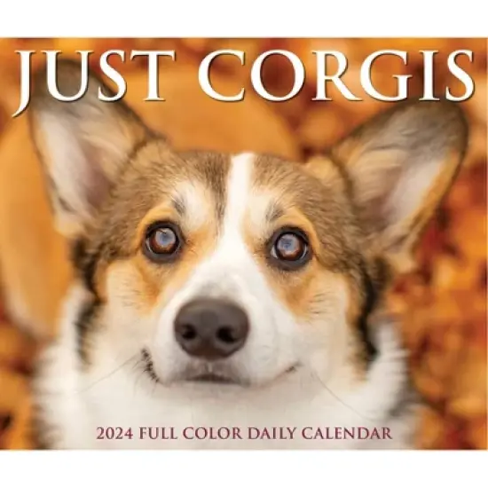 Willow Creek Press 2024 Daily Desk Calendar 5.2"x6.2" Corgis image {4}