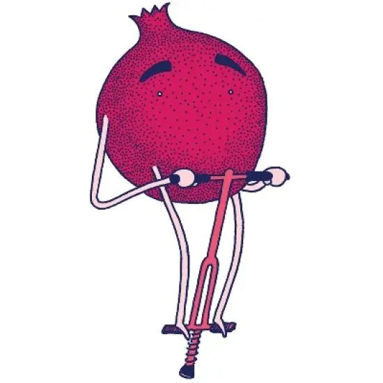 Health-Ade Organic Vegan Pomegranate Kombucha - 16 fl oz image {8}