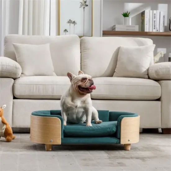 Bulldog Large Dog Beds With Removable Washable Cover, Velvet Cushion With Solid Wood legs and Bent Wood Back-The Pop Home image {10}