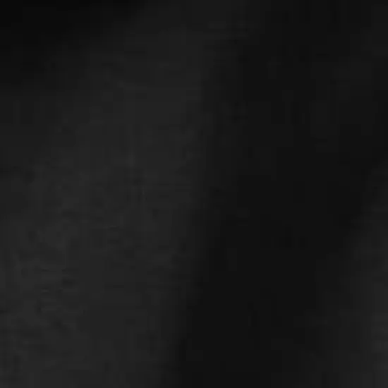 KS Sport by KingSize Men's Big & Tall KS SPORT&trade; WICKING FLEECE HOODIE image {2}