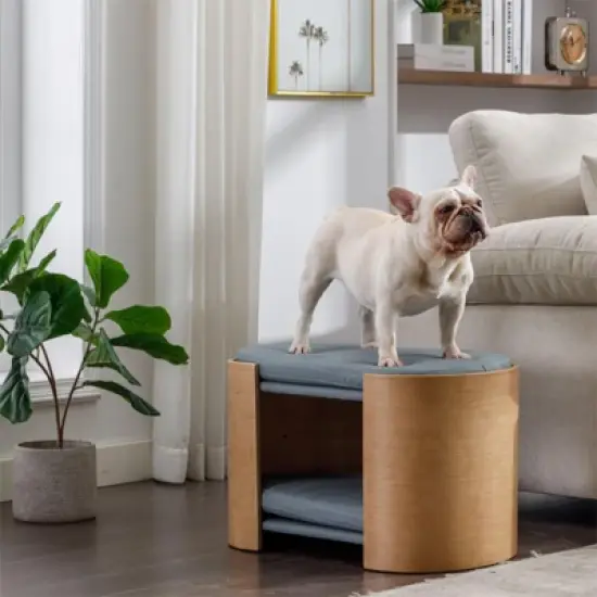 Dune Double Lift Medium Size Scratch Resistant PU Cushion Cat Scratch Beds With Solid Wood Frame Cat Bed Pet Sofa-Maison Boucle image {3}