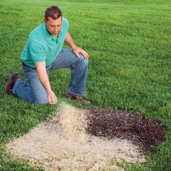 EZ-Straw Seeding Mulch with Tackifier - Biodegradable Processed Straw - 2.5cu ft Bale (Covers up to 600 sq. ft.) image {4}