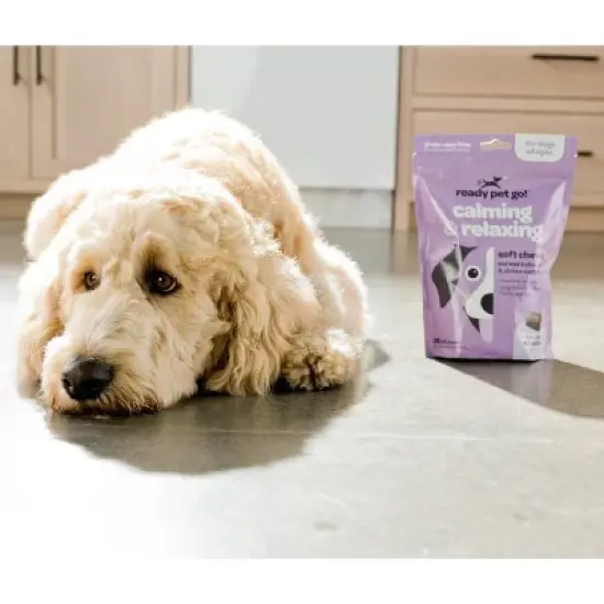 Ready Pet Go Dog Calming Treats for Anxiety & Separation, Herbal Hemp Calming Chews for Dogs Anxiety & Stress Support, Bacon Cheese Flavor, 60 or 90ct image {2}