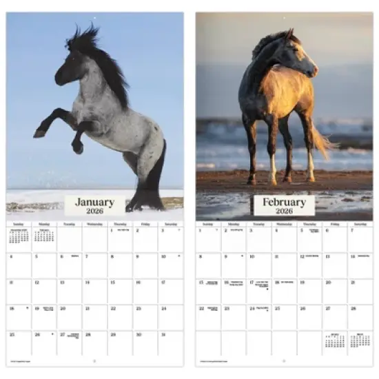 Trends International 2026 Horses 12"x12" Wall Calendar image {5}