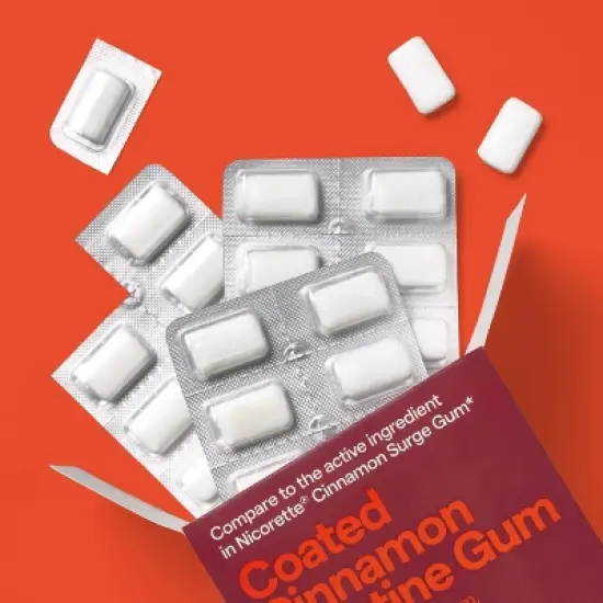 Coated Nicotine 4mg Gum Stop Smoking Aid - Cinnamon - up&up&trade; image {1}