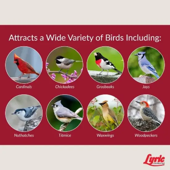 Lyric 20lb Fruit and Nut High Energy Mix Wild Bird Food: Attracts Cardinals, Woodpeckers & More image {5}