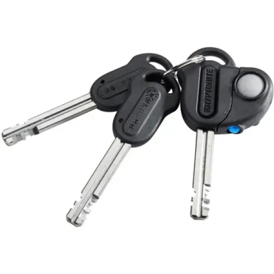 Kryptonite 1090 Evolution Series 4 Chain Lock Keyed 10mm x 90cm End Link Design image {3}