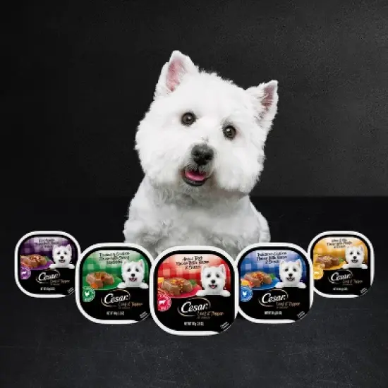 Cesar Loaf & Topper in Sauce Rotisserie Chicken, Beef Filet Mignon and Cheese Flavor Adult Wet Dog Food - 2.64lbs/12ct Variety Pack image {9}