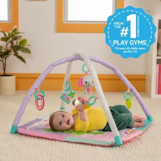 Bright Starts Wild Wiggles Sweet Safari FoldAway Activity Gym image {1}