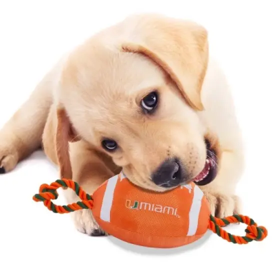 NCAA Miami Hurricanes Nylon Football Dog Toy image {3}