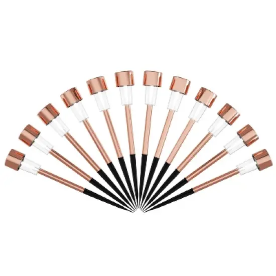 Nature Spring Set of 12 Stainless Steel Solar Path Lights - 12.2", Bronze image {1}