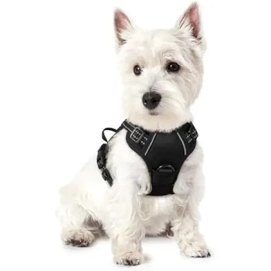 rabbitgoo Dog Harness image {8}