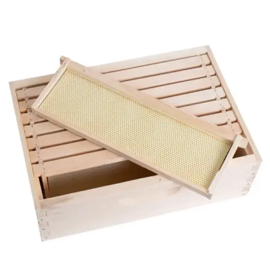 Lehman's Beekeeping Beehive Box, 8 Frame Medium Assembled Super or Brood Honeybee Hive Box with Plastic Foundation Frames, Amish Made image {5}