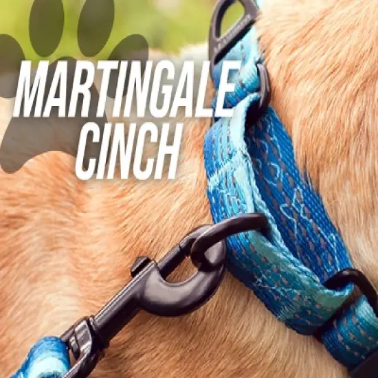 Leashboss Pattern Martingale Dog Collar, Reflective No-Pull Training Collar for Puppies and Dogs image {4}