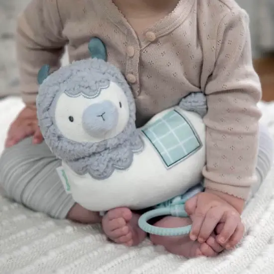 Ingenuity Cria Musical Toy image {1}