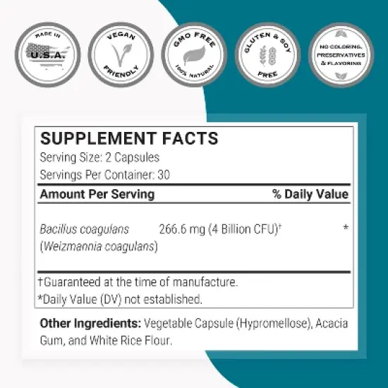 SuperSmart Bacillus Coagulans Probiotic 4 Billion CFU per Day - Lactobacillus Sporogenes | Non-GMO & Gluten Free - 60 Delayed Release Capsules image {3}