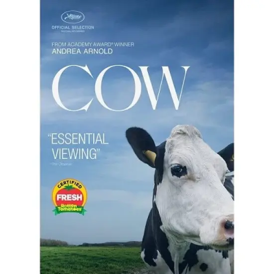 Cow image {2}