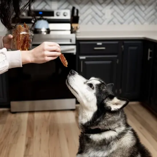 Mighty Paw Chicken Jerky Treats | Natural Chews for Dogs, 14 oz Bag image {2}