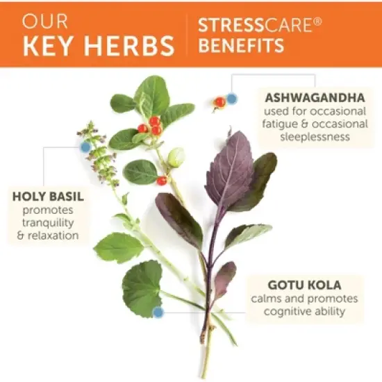 Himalaya StressCare Herbal Supplement, Supports Stress Relief, Ashwagandha, Holy Basil/Tulsi, Gotu Kola, Non-GMO, Vegetarian, 60 Capsules image {3}