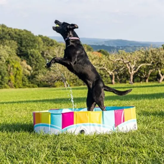 BigMouth Inc. Rainbow Foldable Hard Side Dog Pool image {6}