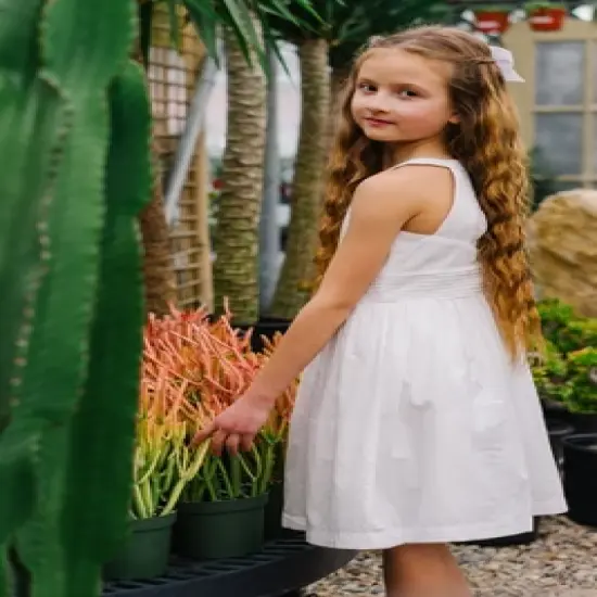 Hope & Henry Girls' Organic Cotton Sleeveless Halter Special Occasion Party Dress, Infant image {5}