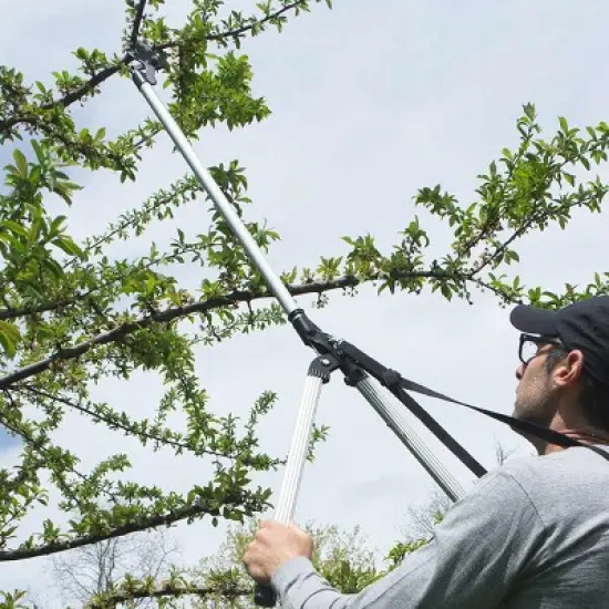 Kings County Tools 59-Inch Tree Trimmer Pruners image {11}