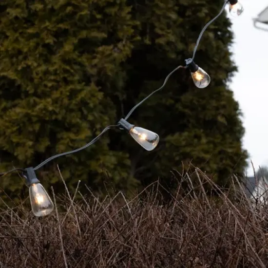 LumaBase Electric String Lights with 10 Edison Bulbs image {6}