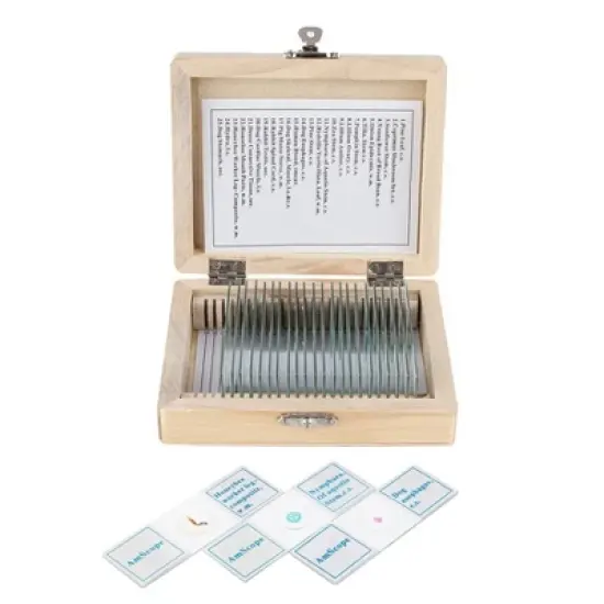 25pc Set of Prepared Plant, Animal, Insect, and Fungus Glass Slides in a Wooden Storage Box - AmScope image {1}