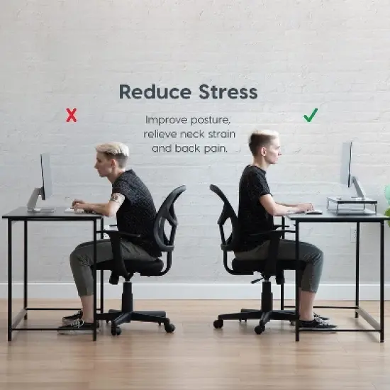 IRIS USA Computer Monitor Stand for Desk image {1}