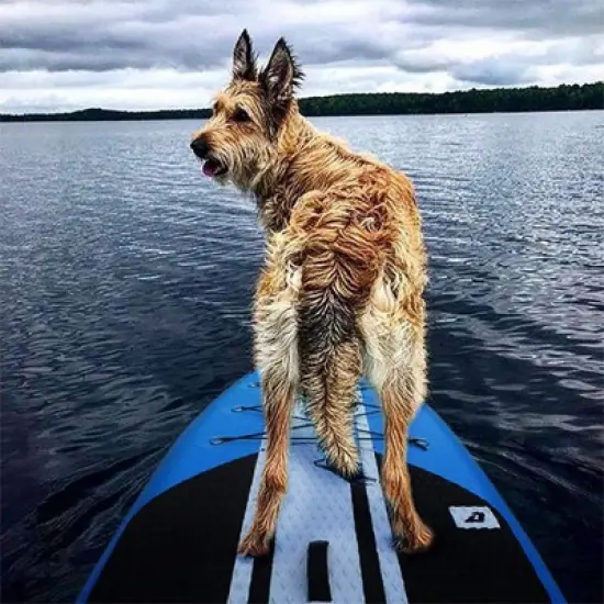 AKSPORT 10'6" Inflatable SUP All Around Stand Up Paddle Board Kit image {4}