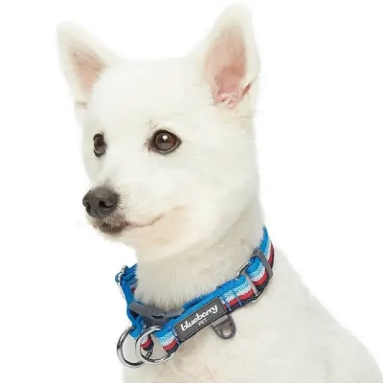 Blueberry Pet Stripe Adjustable Dog Collar image {3}