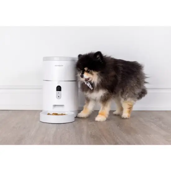 Instachew Purechew Smart Pet Feeder with HD Camera image {4}