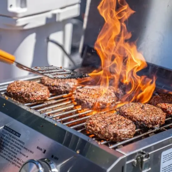 2-Burner Portable Tabletop Stainless Steel Propane Gas Grill Model 13742 - Monument Grills image {3}