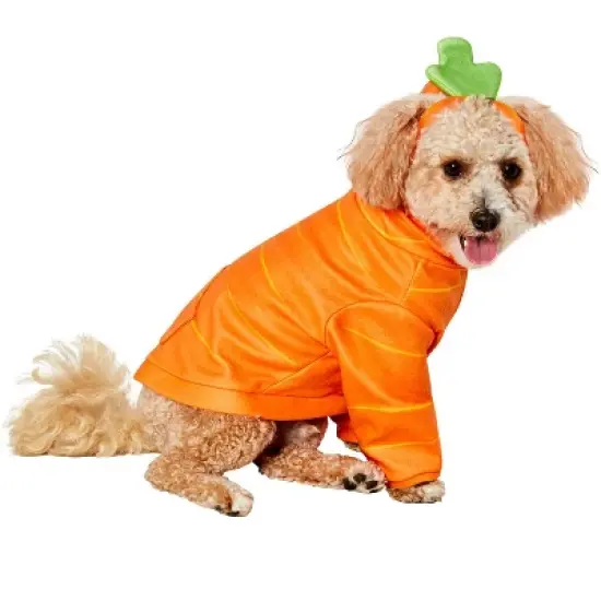 Rubies Carrot Cutie Pet Costume image {2}