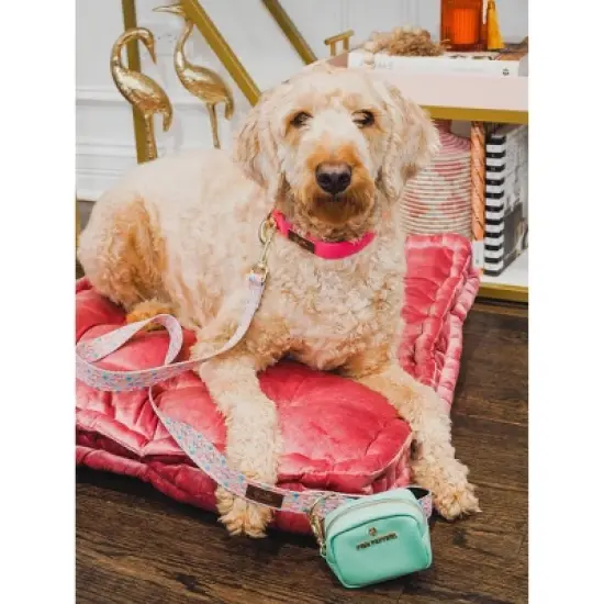 Pink Papyrus Isla Dog Leash image {2}