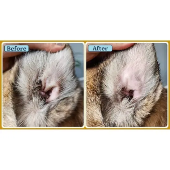 Veterinary Formula Clinical Care Topical Ear Therapy Dog and Cat Wipes - 100ct image {2}