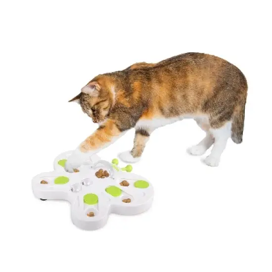 Allforpaws Interactive Cat Toys Cat Treat Puzzle Slow Feeder for Indoor Play image {1}