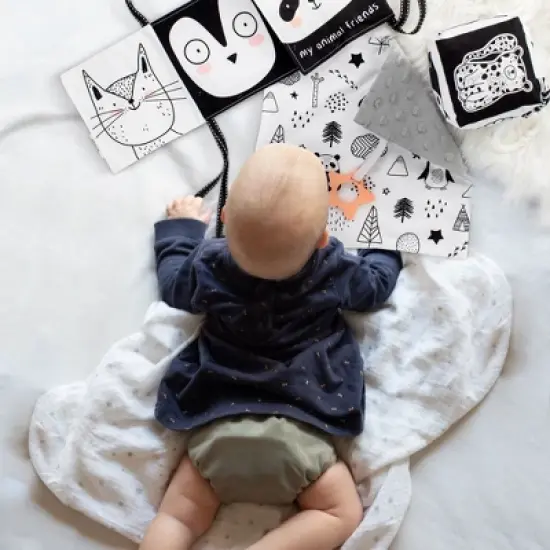 Tummy Time Toys Set: High Contrast Book, Toy Block, Crinkle Paper & Teether - Sensory Development Toys for Newborns & Infants 0-6 Months image {2}