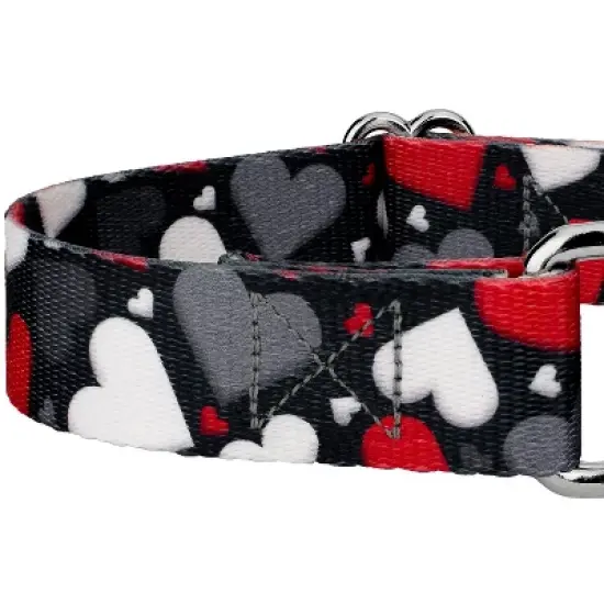 Country Brook Petz Martingale Dog Collar - Affection Collection image {3}