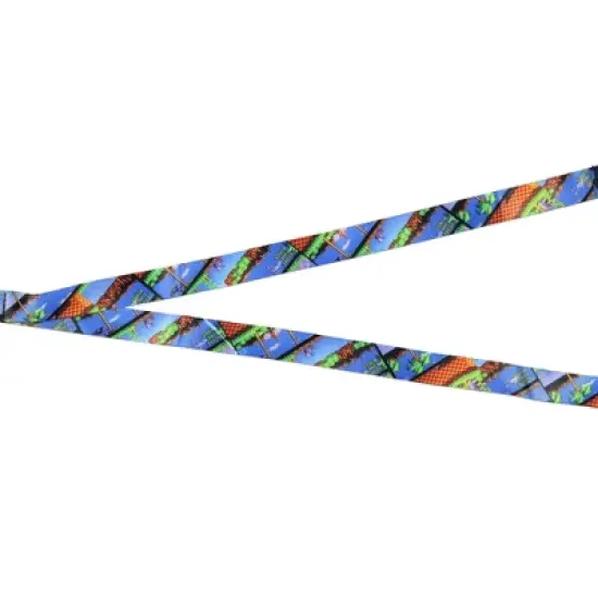 Sonic The Hedgehog Lanyard ID Badge Holder Classic Video Game Design w/ Rubber Charm and Collectible Sticker Multicoloured image {2}