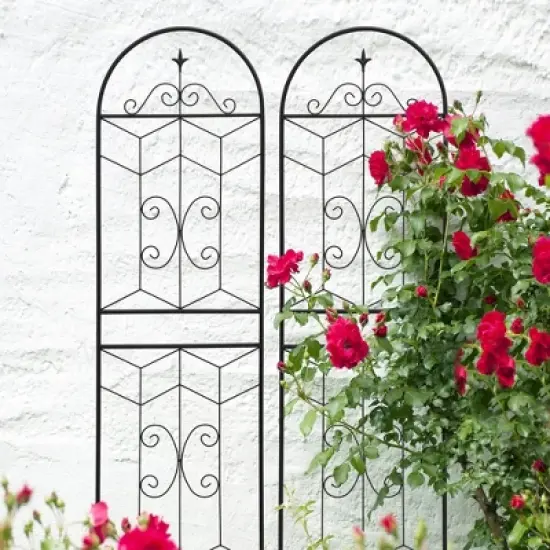 MOEPISY 2 Pack Metal Garden Trellis 71 inch x 19.7 inch Rustproof Trellis Black image {7}