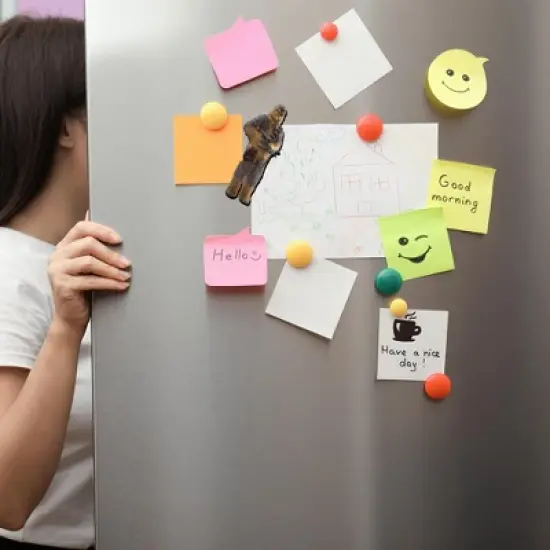 NMR Distribution Star Wars Chewbacca Funky Chunky Wood Magnet image {2}