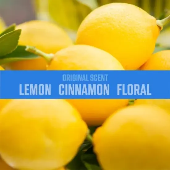 OZIUM 3.5oz Original Scent Air Sanitizer Spray: Odor Eliminator & Freshener, Ozone Spray, Clear Liquid, 1 Pack image {3}