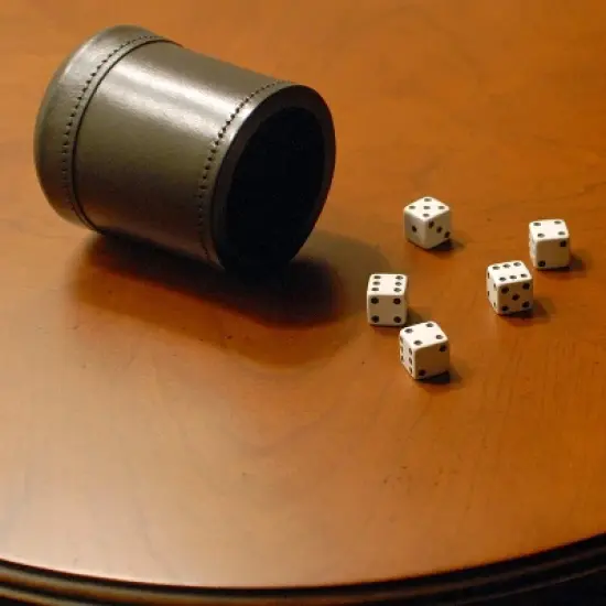 WE Games Professional, Leather Dice Cup Set - 5 Dice, Instructions for 10 Dice Games & Cloth Carry Bag image {6}