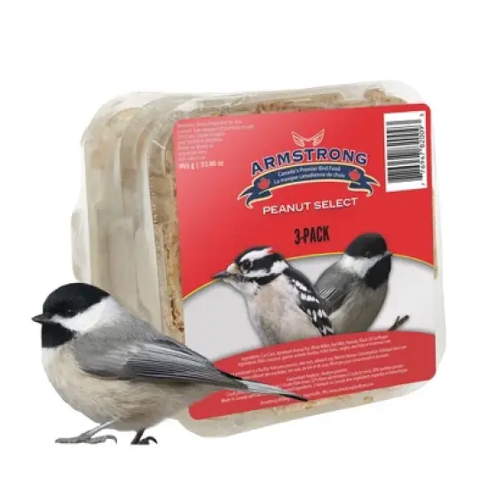 Armstrong Wild Bird Food Peanut Select Suet Cake, 33.9oz (Pack of 3) image {6}
