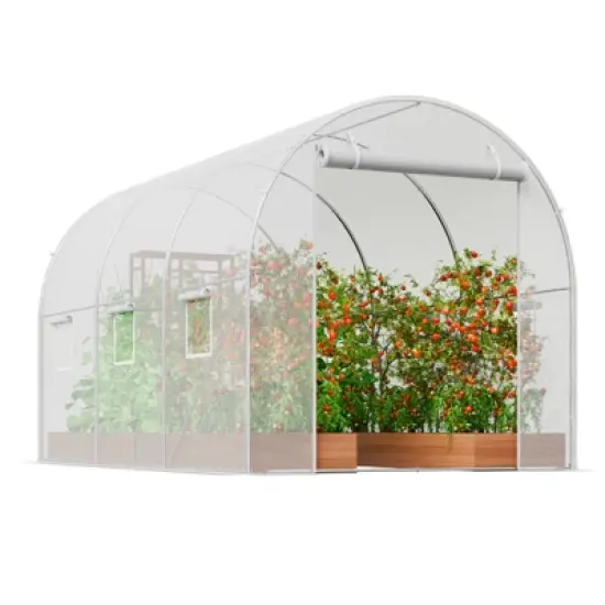 VEVOR Walk-in Tunnel Greenhouse, 9.6x6.4x6.2 ft Hoop House Greenhouse Tunnel, Plant Hot House with Galvanized Steel Frame, White PE Cover image {8}